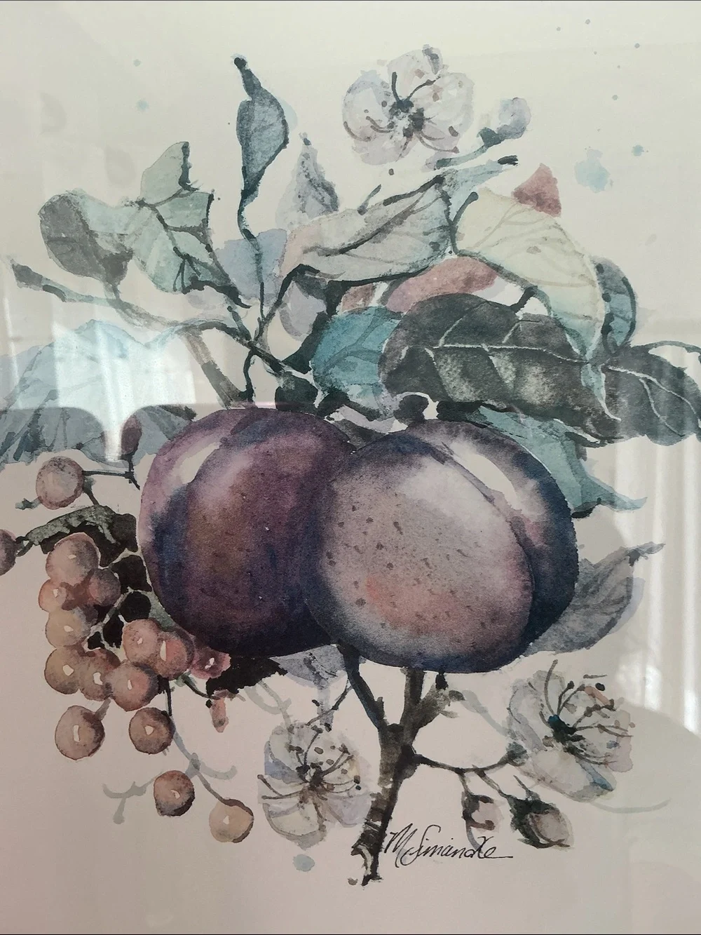 Artist Marilyn Simandle Framed Fruit Print Wall Art in Brown and Cream LARGE  FR
